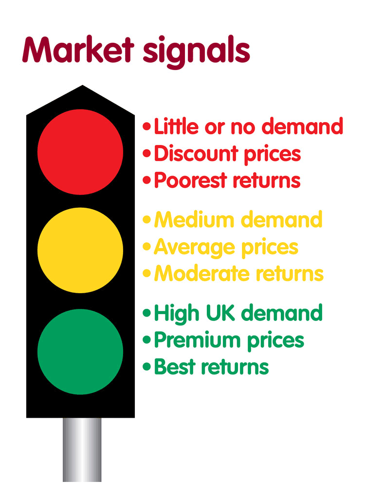 Traffic Light Grid Key