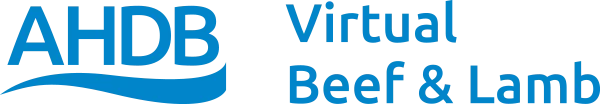 Virtual Beef and Lamb Website